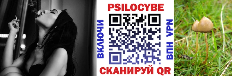 Псилоцибиновые грибы MAGIC MUSHROOMS  маркетплейс как зайти  Снежинск 